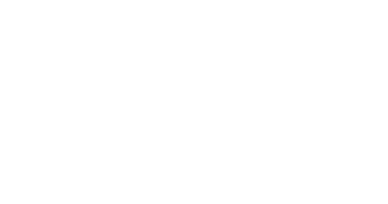 USA Flag