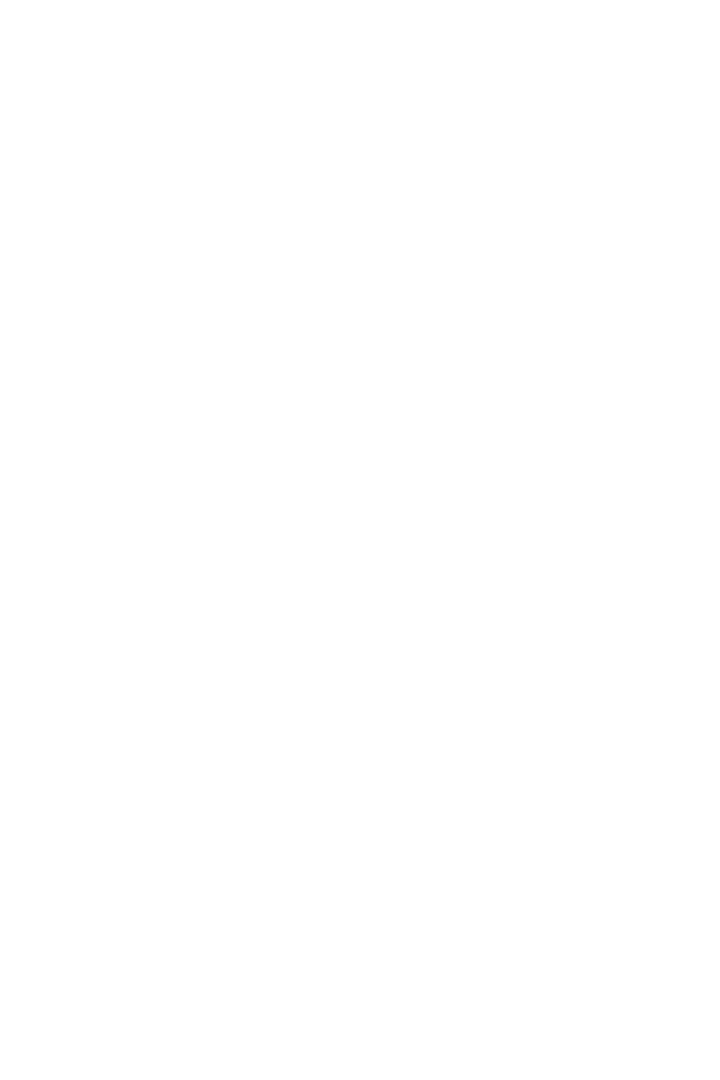 Protector Helmet
